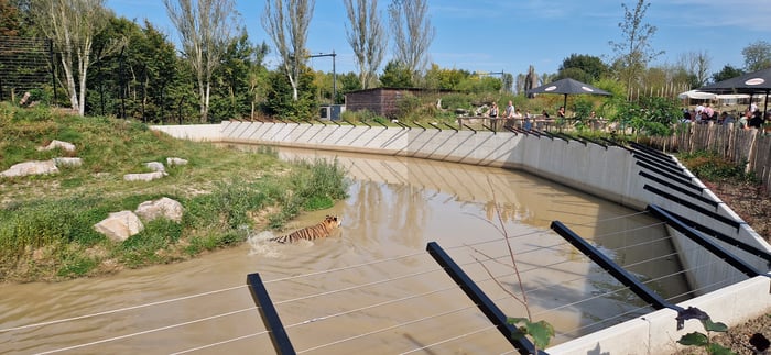 Grote keerwanden van Kemper Beton creëren zwemplas voor tijgers Eindhoven Zoo