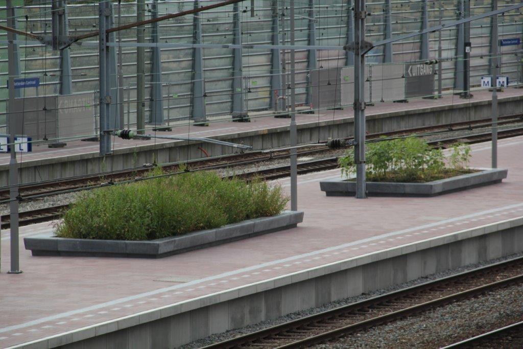 Stationsomgeving_De_Meteoor_Rotterdam_42